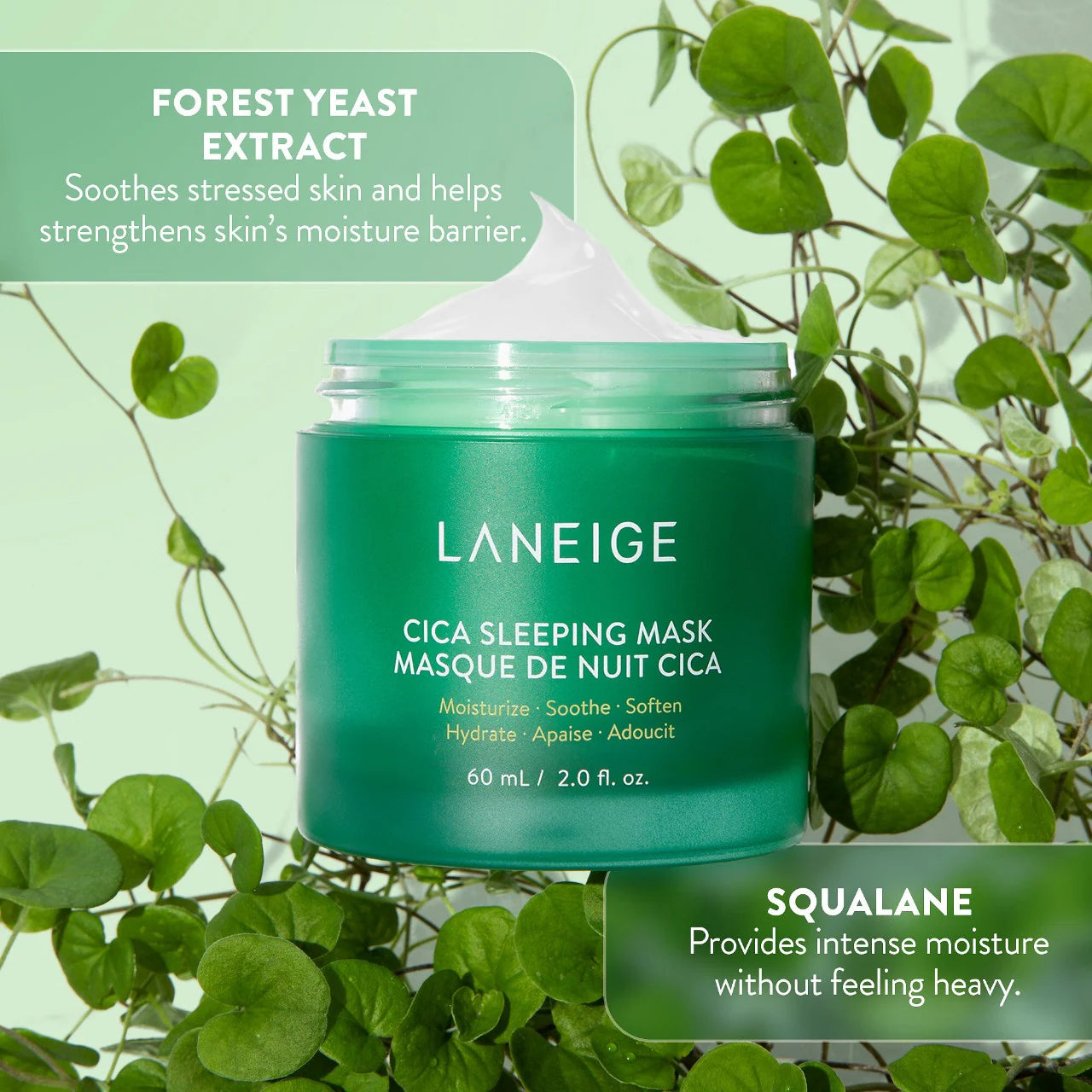 Cica Sleeping Mask with Centella Asiatica for Moisture Barrier Support - Laneige
